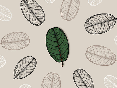 Leaf Pattern