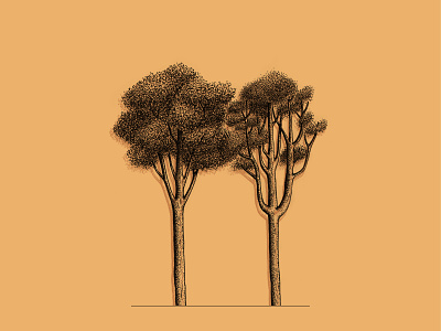 Trees botanical illustration design illustration illustrator