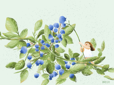 Blueberry fairy blueberry design fairy illustration illustrator little girl plant ui web website