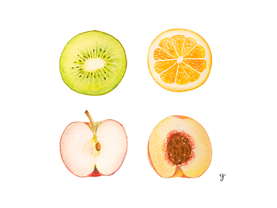 fruit watercolors fruits illustrations