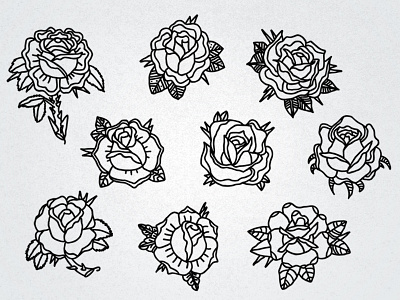 9 Roses illustration ipad ipadpro