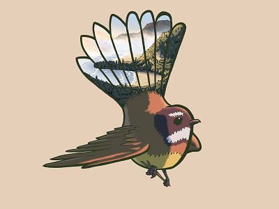 Piwakawaka art print bird bird illustration illustration landscape illustration nature illustration new zealand