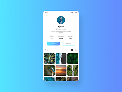 User Profile - Design Exploration