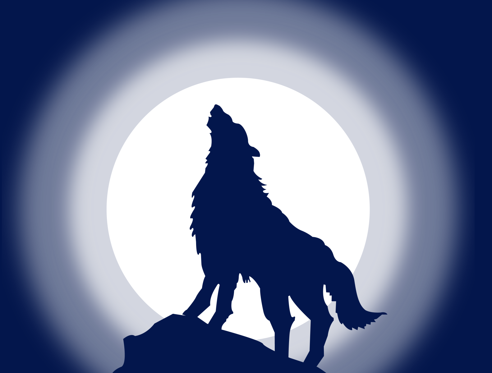 Wolf by Rishi Raj on Dribbble