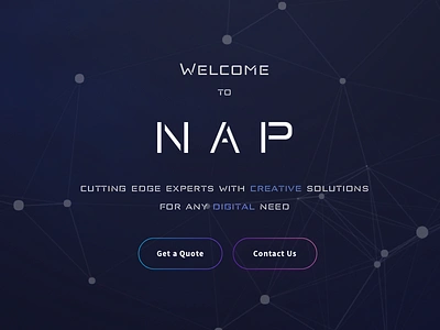 NAP landingpage