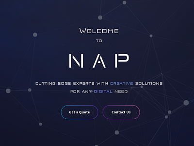 NAP landingpage