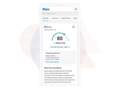 Mobile Business Reports business credit experian nav reports