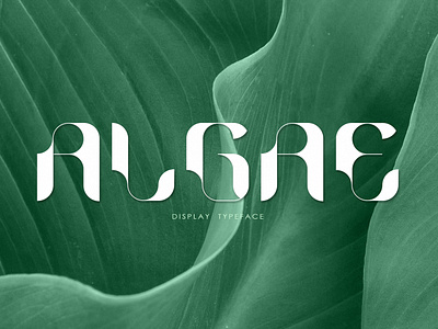 ALGAE Display Typeface