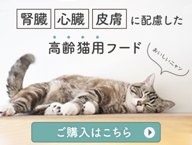 高齢猫用バナー