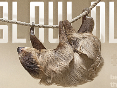 Slow Dribbble sloth slow