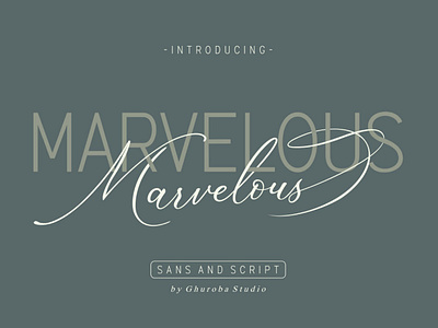 Marvelous Font Duo (FREEBIES)