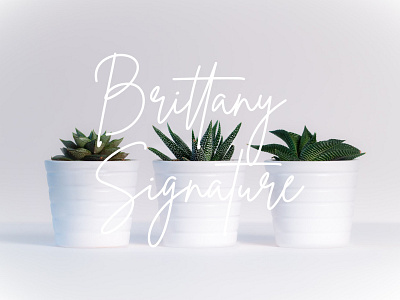 Brittany Signature - Free Fashion Font Download advertisements branding projects fashion font free font free typeface freebie freebies invitation label logo photography product designs product packaging social media posts stationery typeface watermark wedding designs