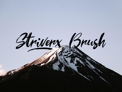 Striverx Brush Script Free Font branding business cards clothes clothing designs fashions font free font free typeface freebie freebies invitations labels letters logo logos packaging quotes typeface typography