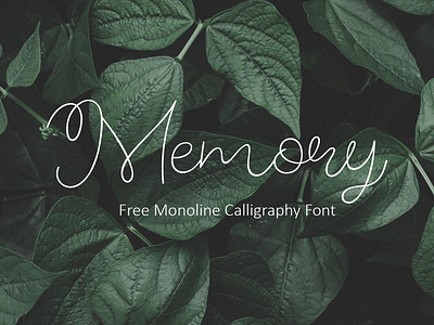 Memory - Free Monoline Calligraphy Font branding business cards calligraphy artist calligraphy font clothes clothing fashions font free font free typeface freebies greeting cards invitations labels letters monoline packaging quotes typeface typography