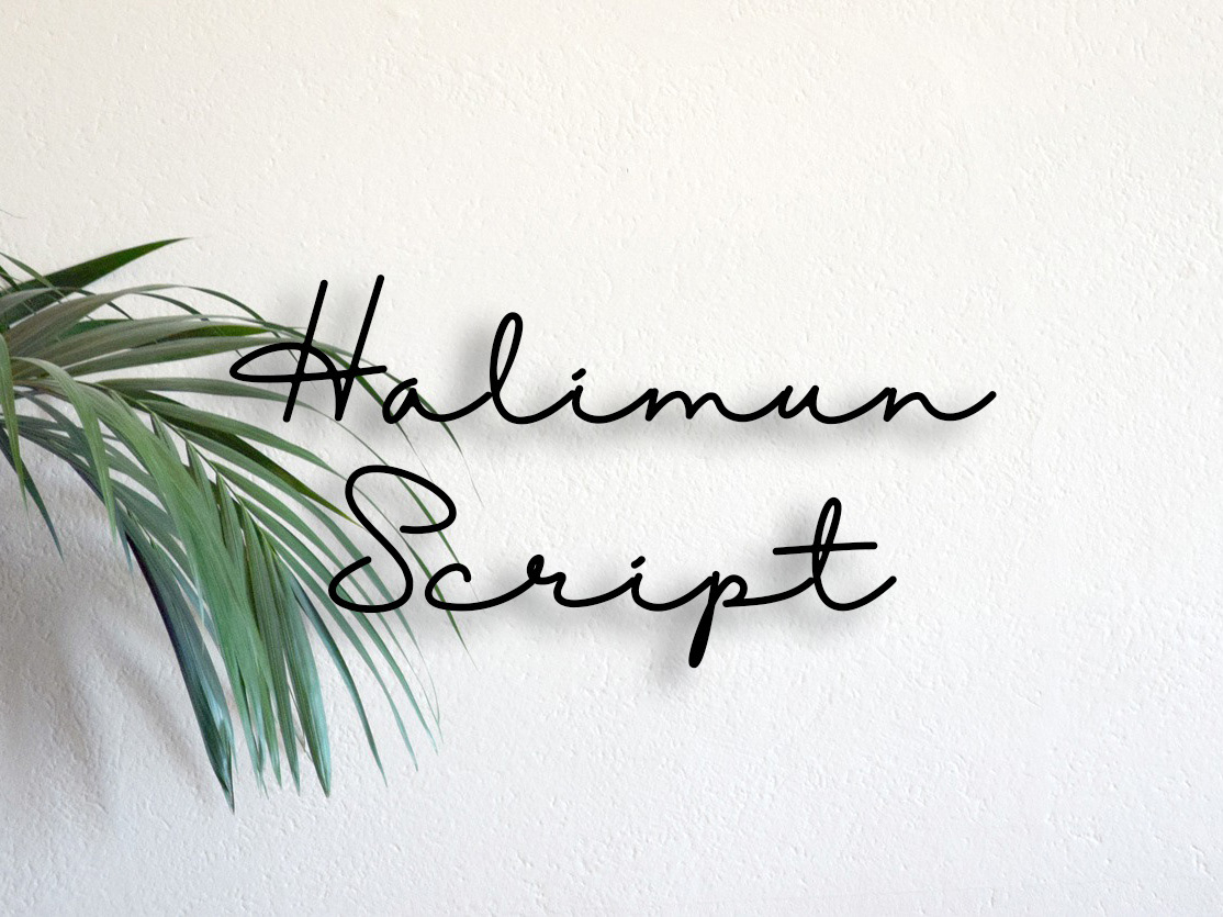 halimun-free-modern-fresh-script-font-by-jack-miller-on-dribbble