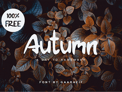 Autumn Free Display Font branding business cards clothes clothing design fashions font free font free typeface freebie freebies greeting cards invitations letters logos packaging posters quotes typeface typography