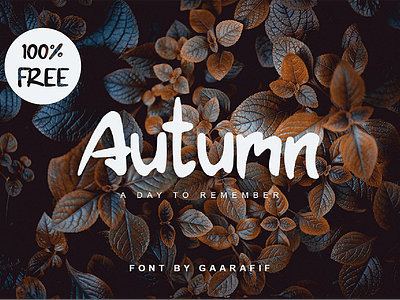 Autumn Free Display Font