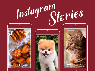 Free Instagram Stories Templates free instagram stories free instagram stories templates instagram instagram stories social social media social media pack social media templates