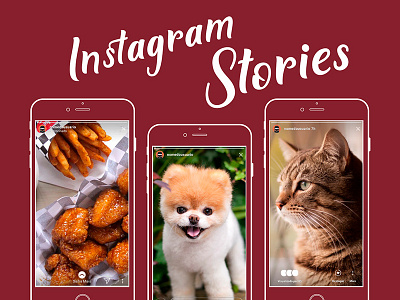 Free Instagram Stories Templates