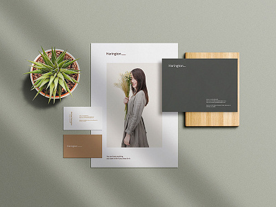 Free Business Stationery Mockup PSD