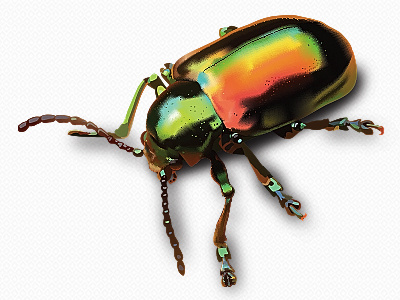 Mesh Beetle beetle colorful gradient mesh insect