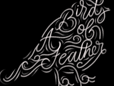 Birds of a feather. bird lettering procreate script
