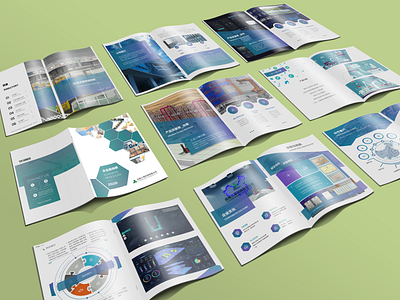 Brochures_画册 branding brochures brochures design design designer ui web