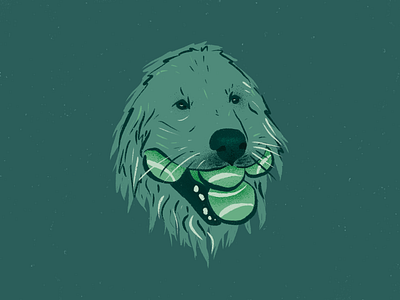 good boi cute digitalart dog dog illustration doggo drawing golden retriever good boy green illustration pet procreate