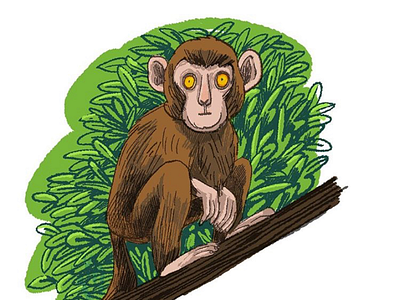 Monkey animals digital illustration