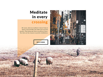 Mindfulness Web design