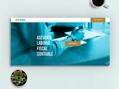 Luis Reca Web Design app brand branding clean design graphic design ui ux web web design