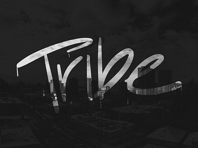 Tribe Branding branding clean dark graphic design logo minimal negative skyline tribe we are tribe