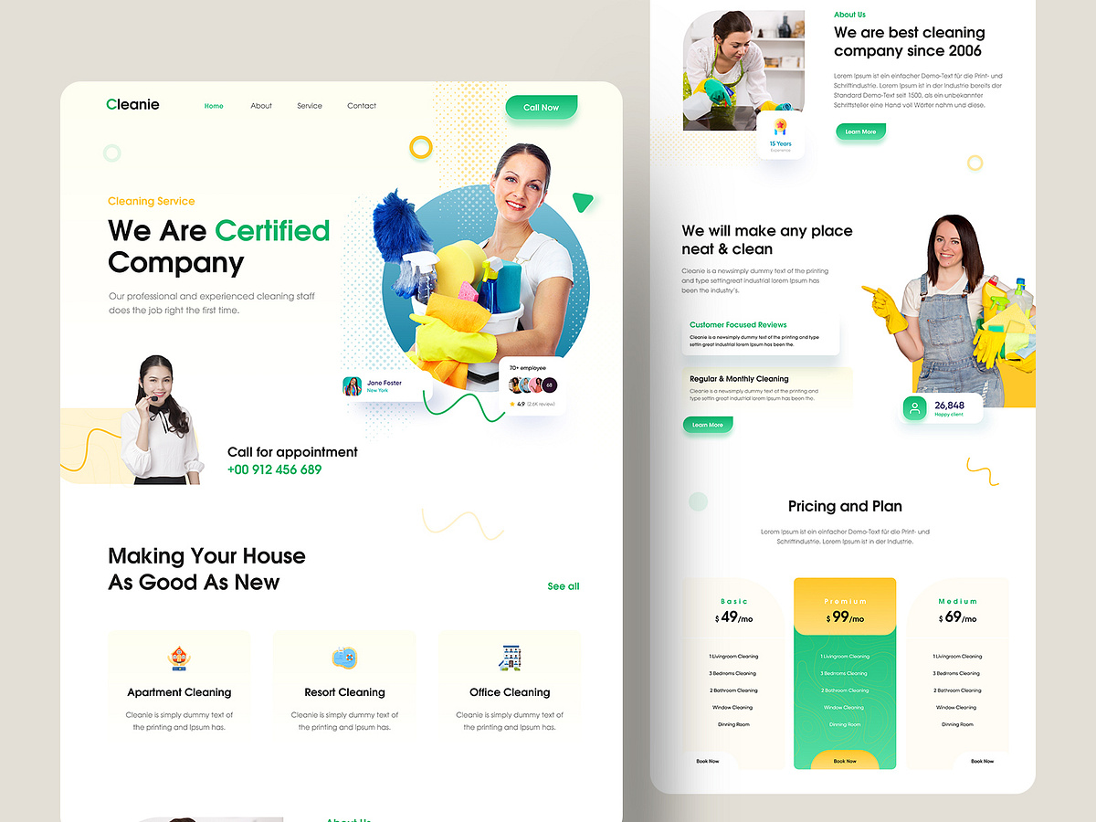 Cleaning Website designs themes templates and downloadable graphic