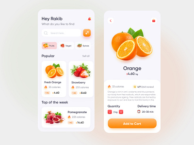 Grocery Delivery Mobile App (v2)