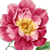 Евгения Яншина