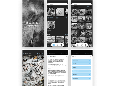 Animalpedia app app black white design minimal photo app ui ux web