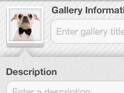 Gallery Information page app form gallery input iphone photo stack upload