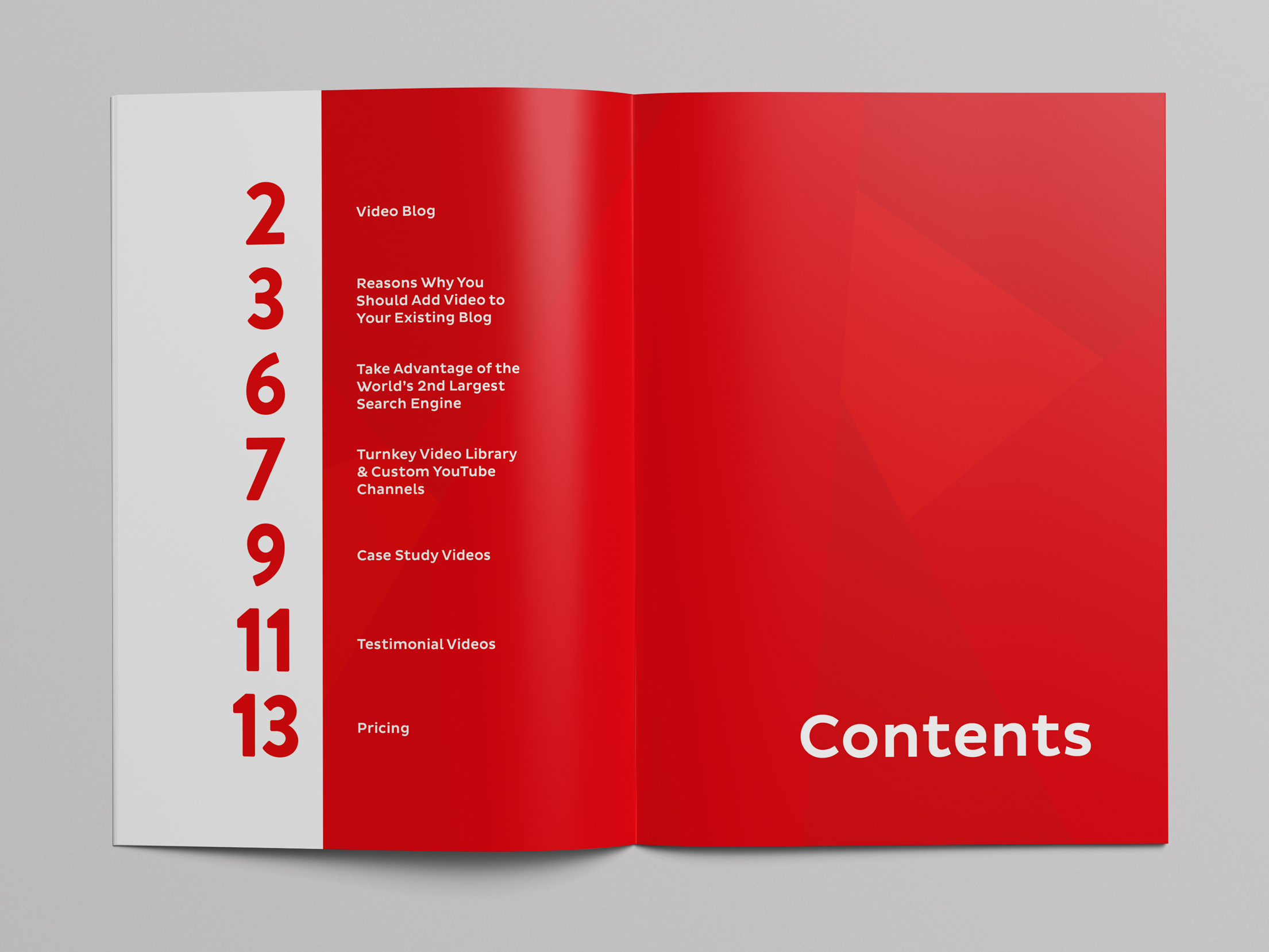 Брошюра содержит 16 страниц. Обложка каталога. Дизайн книги. Дизайн журнала. Обложка буклета.
