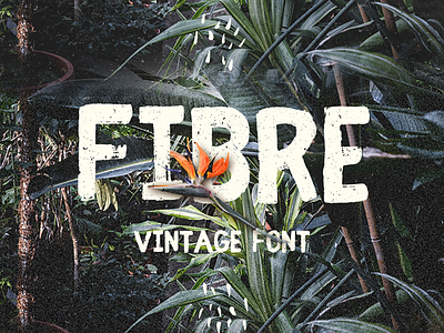 Fibre is a Free Vintage Font banaue brush free free font free fonts handwritten wildones wildtype