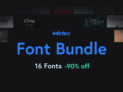 WildOnes Font Bundle bundle font typeface wildones