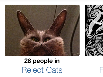 Reject Cats