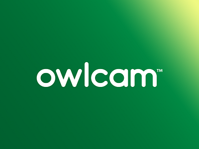 Owlcam Logo branding logo