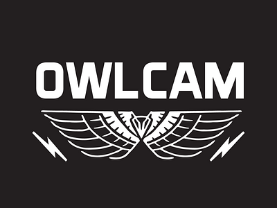 Owlcam Branding Idea branding design idea illustration logo