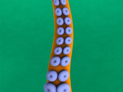 Claymation Tentacle
