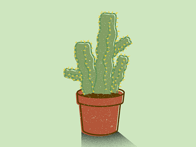 things I like (cactus)