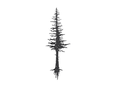 things I wanna be (those people who draw outdoorsy stuff) black decay illustration nature outdoors silhouette textured tree vector white