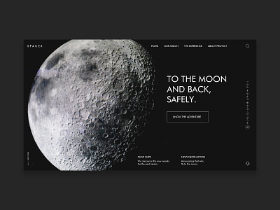 S P A C E X - Website blackandwhite branding design moonlight nasa ui ux website
