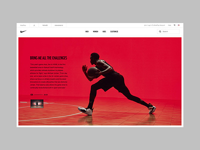 Nike AirJordan XXXIII