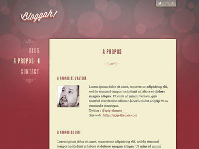 Bloggah! Spip Theme - About page webdesign