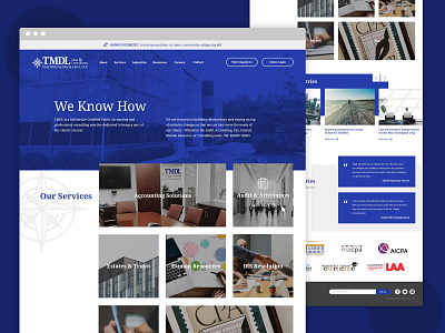 TMDL Website Design design ui ux web design